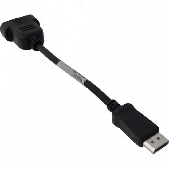 Pny 030-0173-000 Displayport To Dvi Cable Adapter