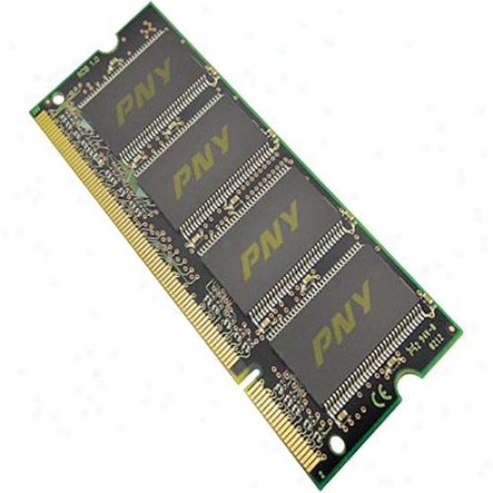 Pny 1gb Pc2-5300 667mhz Ddr2 Notebook So-dimm