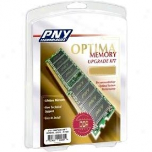 Pny Md1024sd1-333 1gb Pc2700 Ddr Sdram Dexktop Dimm Chip