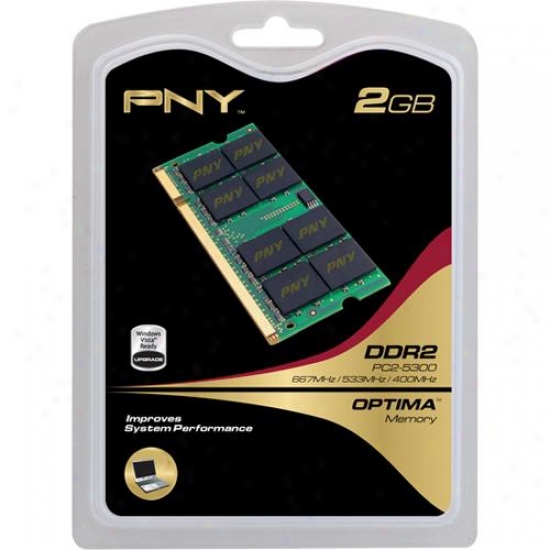 Pny N2gx530pt 2gb Computer Pc Memory