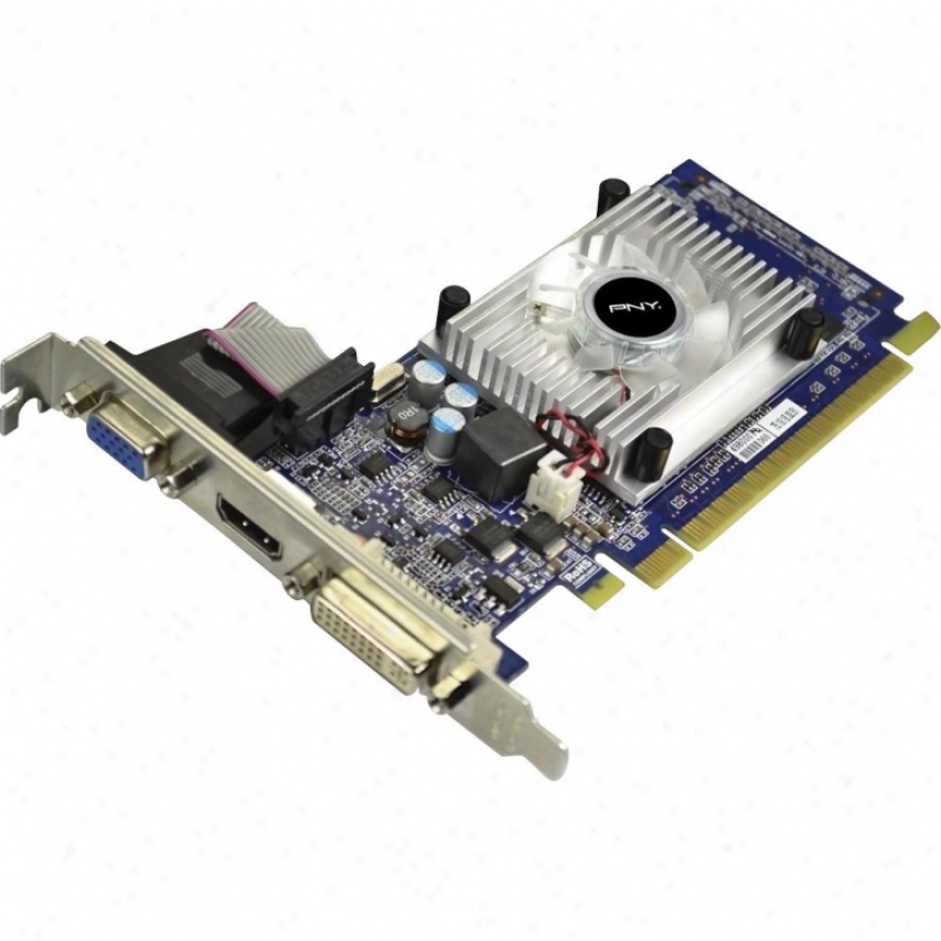 Pny Vcggt5201xpb Geforce Gt 520 1gb Gddr3 Pcie X16 Vdeo Card