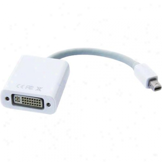 Ppa Int'l 5217 Dvi To Mini Displayport Adapter - White