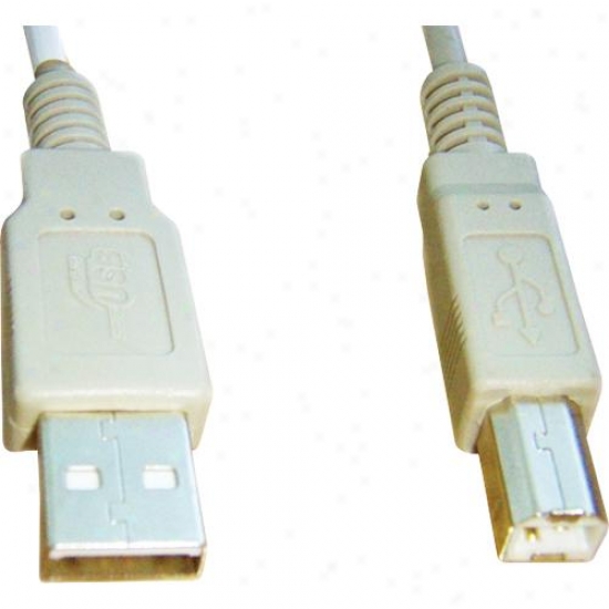 Ppa Int'l 6-foot High-speed A Male To B Male Usb 2.0 Cable