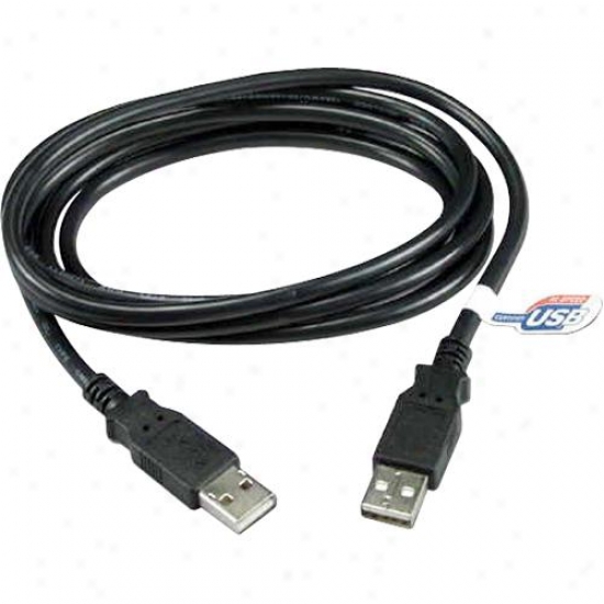 Qvs Cc2208c-06 6-foot Usb 2.0 Connect Cable