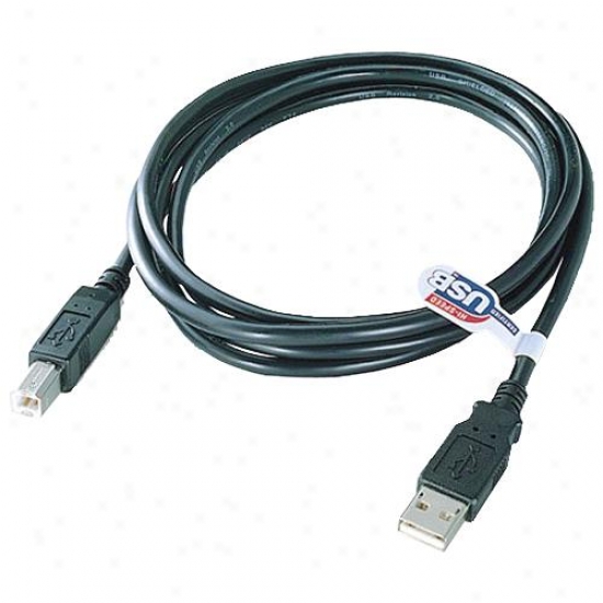 Qvs Cc2209c-06 6-foot Usb 2.0 Connect Cable