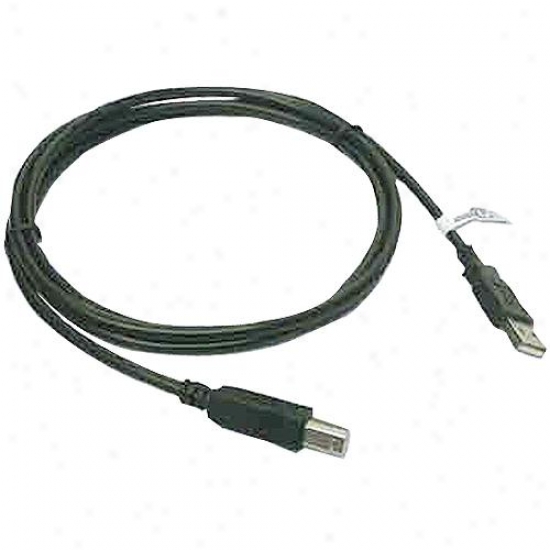 Qvs Cc2209f-15 Usb Connect Cable