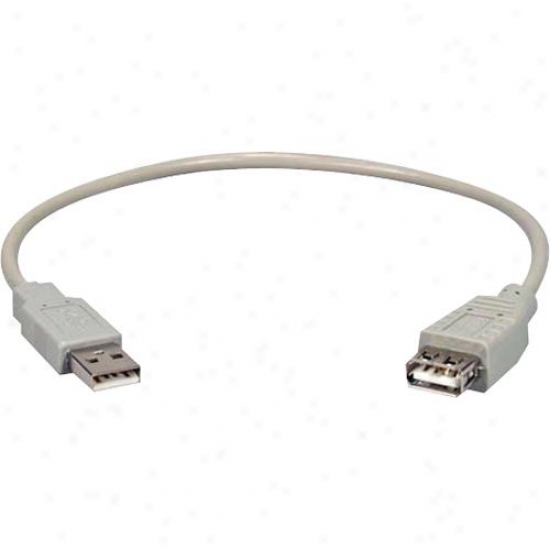 Qvs Cc2210-01 Usb 2.0 Cer5ified Portsave Patch Cord