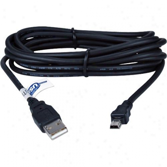 Qvs Cc2215c-06 Type A Male To Mini B Male Usb Cable