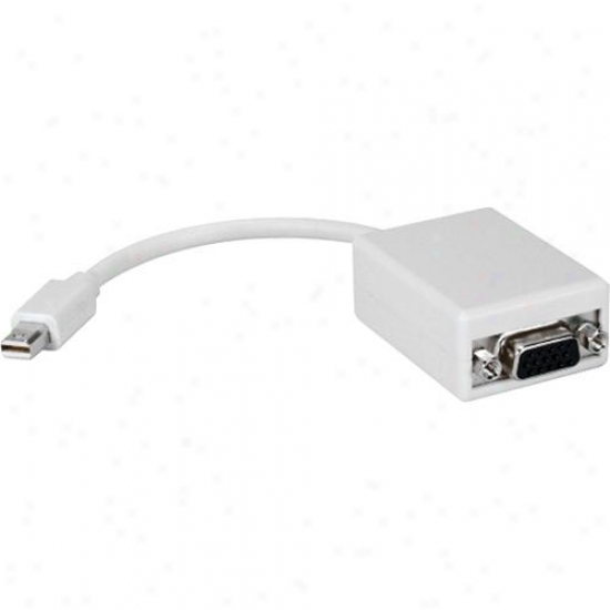 Qvvs Mdpvmf Mini Display Port Male To Vga Breeding Digital Video Adapter