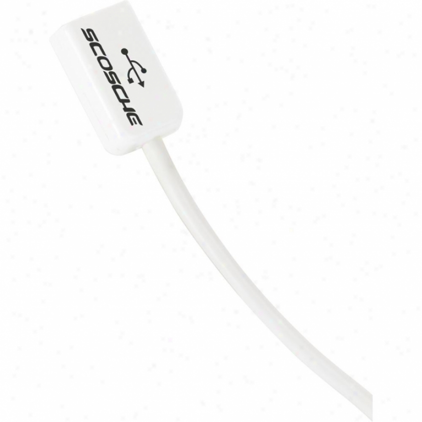 Scosche Extendit - 6 Ft. Usb Extension Cable - White