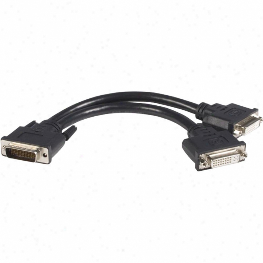 Startech 8 Inch Dms-59 To 2 Dvi Y Cable