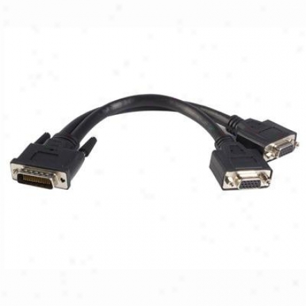 Startech 8 Inch Dms-59 To 2 Vga Y Cable