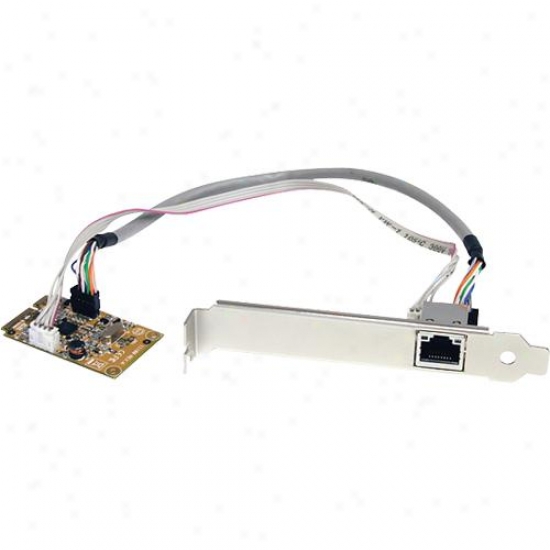 Startech Pcie Ethernet Nic Card