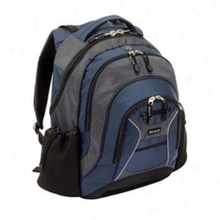 Targus Feren 15.4" Laptop Backpack - Blue Tsb03202us