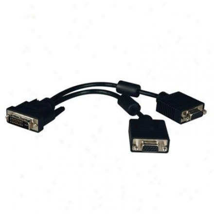 Tripp Lite 1' Dvi To 2 X Vga Splitter