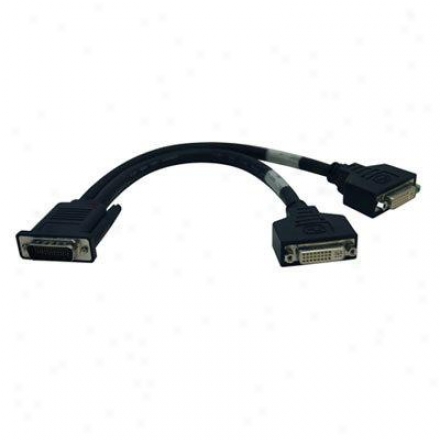 Tripp Lite 1ft Dms-59 To (2) Dvi-i Female