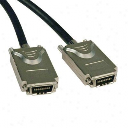 Tripp Lite 1m External Sqs Cable