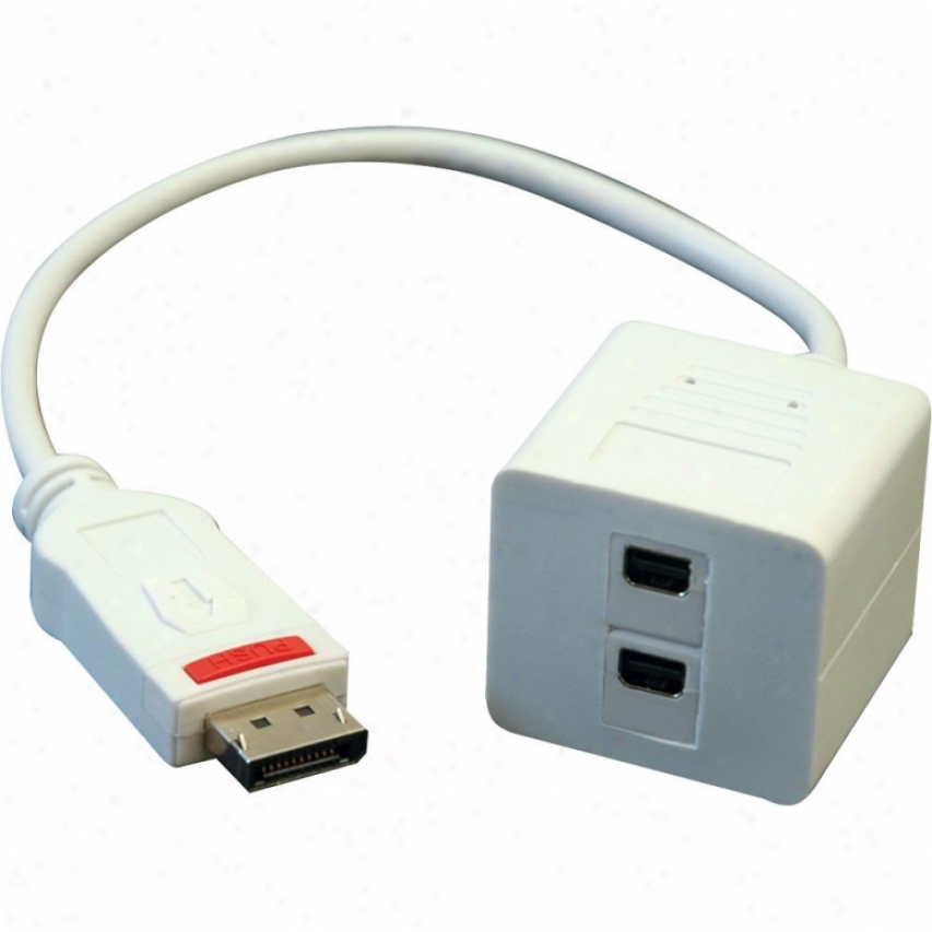 Tripp Lite Displayport To Minu Displaypor