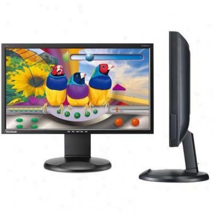 Viewsonic 20" Ergonomic Lcd Monitor