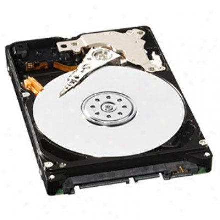 Western Digital 750 Gb Sata 8mb, 5400rpm