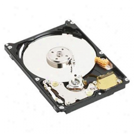 Western Digital 80gb 2.5" Eide Drive