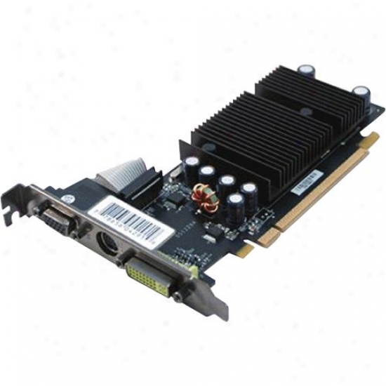 Xfx Geforce 8400gs 512mb Ddr3