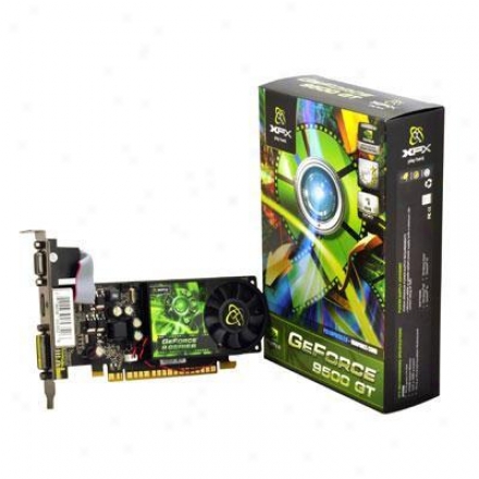 Xfx Geforce 9500 Gt 1gb Pcie 2.0 Video Card - Pv-t95g-znf2