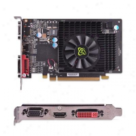 Xfx Radeon Hd 5570 1gb Ddr3 Pci Speedy conveyance 2.1 Video Card - Hd-557x-zhl2