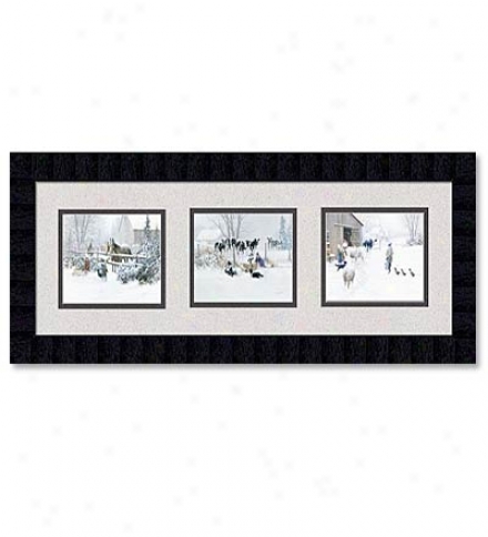 'barnyard Trio' Framed Prints By Douglas Laird