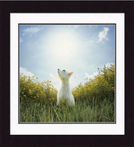 'clarence, Oh Heavenly Dog' Framed Print