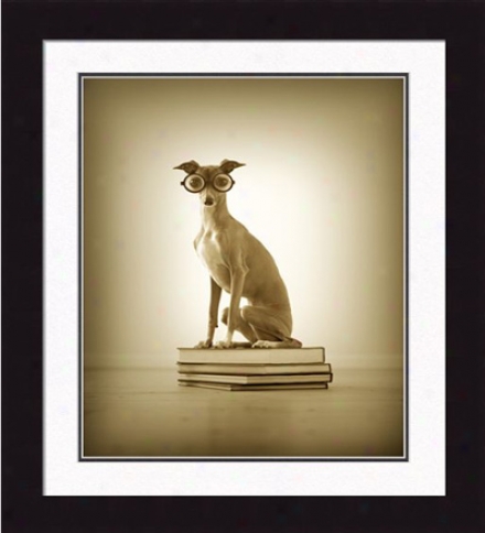 'monte, The Bookworm' Framed Print