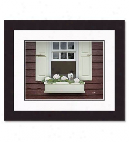 'posy'framed Print