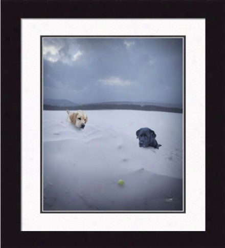 'snow Day' Framed Print