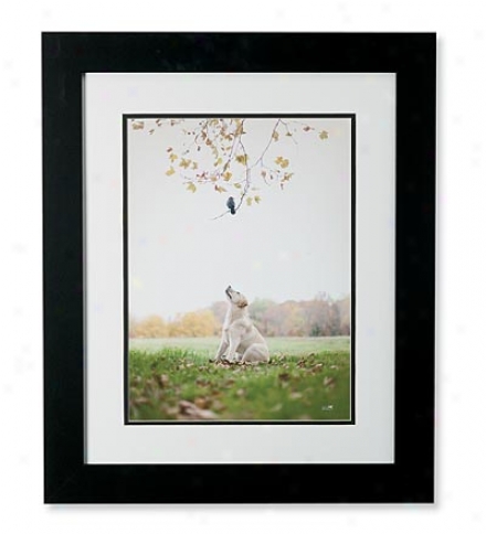 'spot' Framed Print By Ron Schmidt