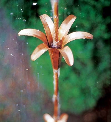 19" Lily Copper Rain Cnain Extension