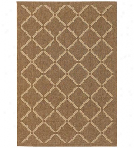 3'7" X 5'5" Sorrento Area Rug