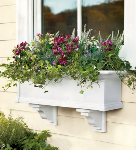 5' Easy-care Yorkshird Windoww Box With A Sub-irrigation Water System