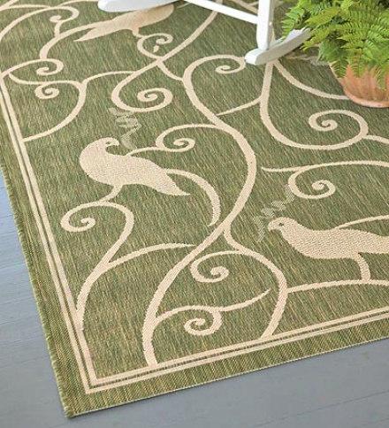 7'10" X 10'10" Indoor/outdoor All-weather Polypropylene Songbirds Area Rug