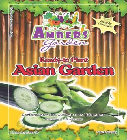 Ambers Garden Easy Asian Garden Kit ??? Large