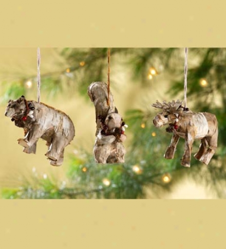 Birch Ornaments, Set Of 3