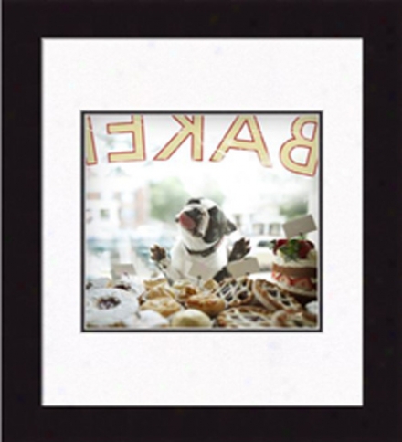 Biscuit, The Cream Puff??? Framed Print