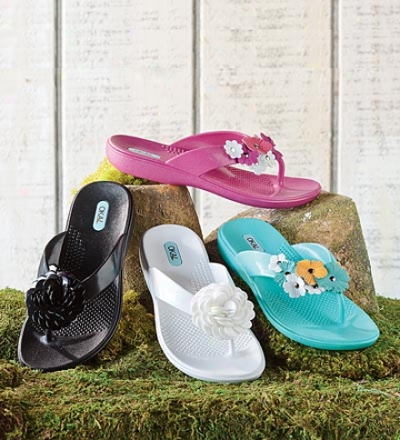 Catherine Microplast??? Pliable Floral Flip-flopsdeal Of The Week - Good Through 6/4/12