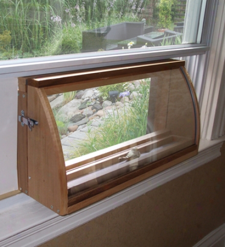 Deluxe In-house Window Bird Feeder