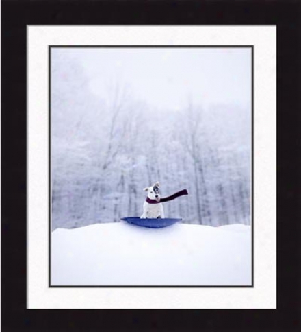 Gallery Quality 'jack Frost' Framed Print By Ron Schmidt