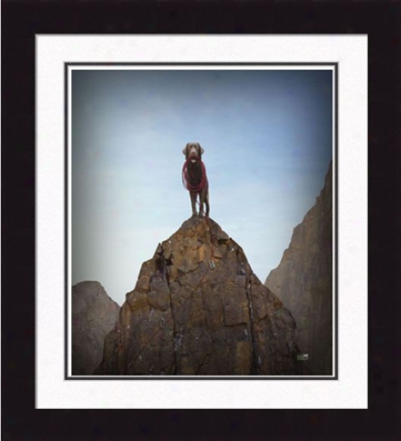 Gallery Quality 'rocky, The King Of The Hill' Framed Print By Ron Schmidt