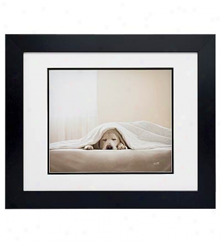 Gallery Quality 'zee Face' Framed Print By Ron Schmidt