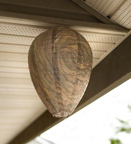 Get Lost Wasp All-natural Wasp Deterrent