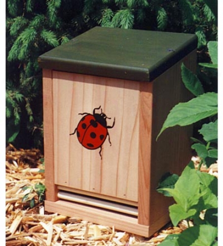 Ladybug Habitation