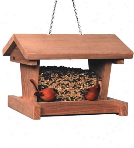 Large Cabin Feeder