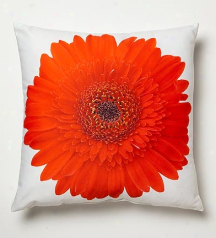 Lava Fall Colors Photo Printed Pillows